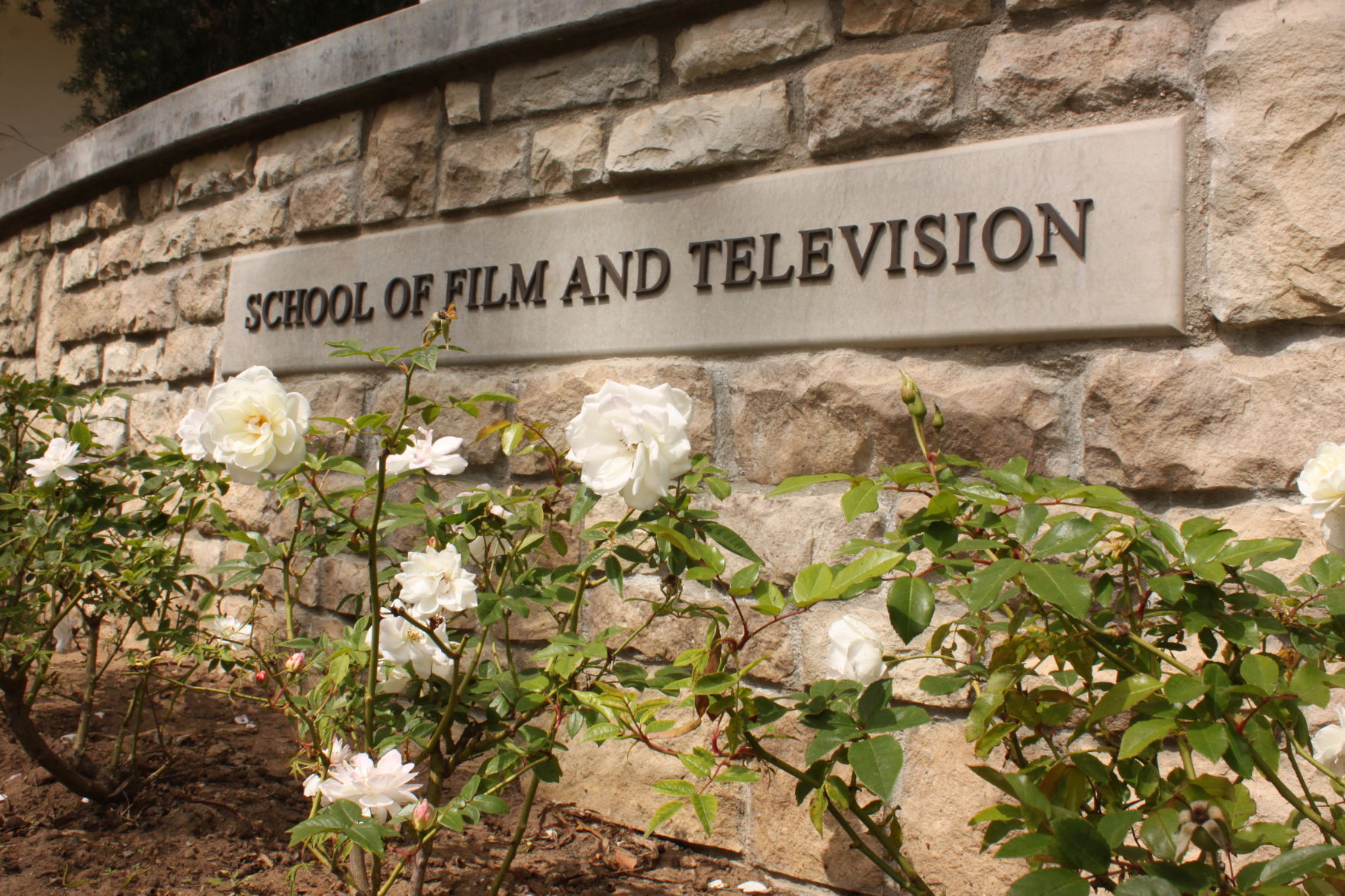 sftv
